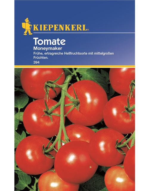 Tomate Moneymaker