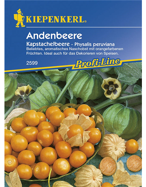 Andenbeere