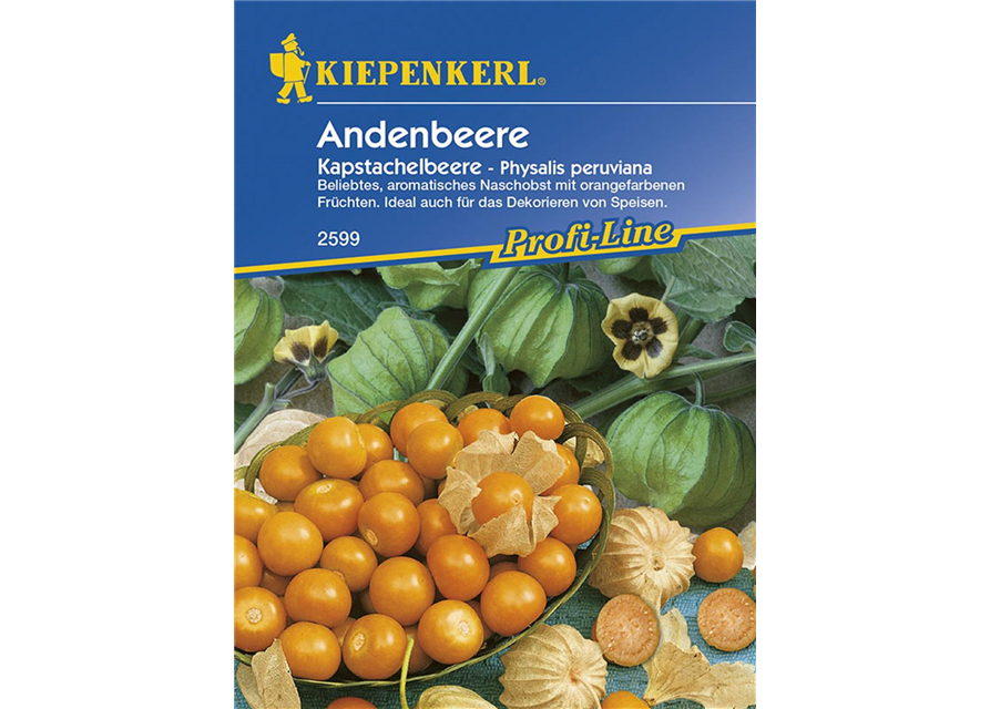 Andenbeere