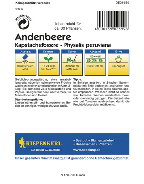 Andenbeere