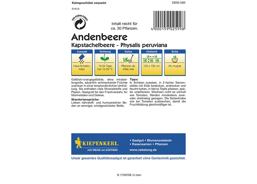 Andenbeere