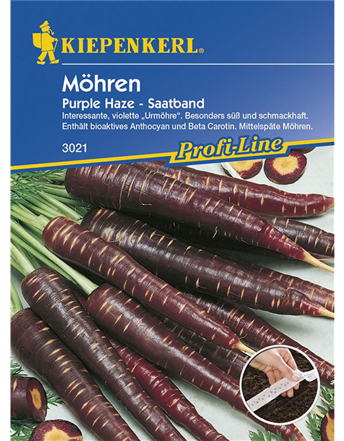 Möhre Purple Haze F1 Saatband