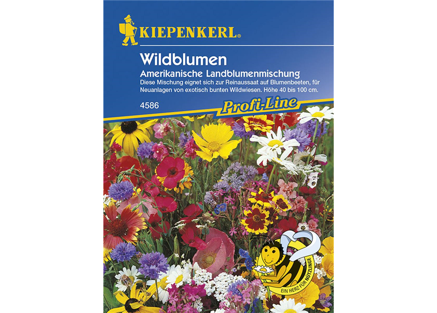 Wildbl. Am.Landblumenmix