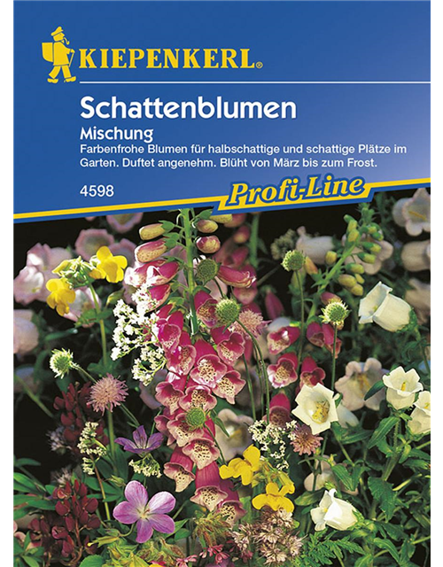 Schattenblumen-Mischung