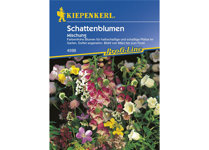 Schattenblumen-Mischung