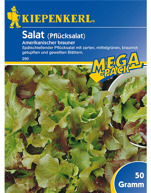 Pflücksalat Amerik.n PG C