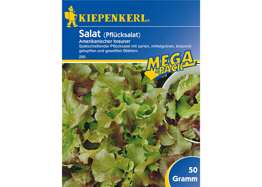 Pflücksalat Amerik.n PG C