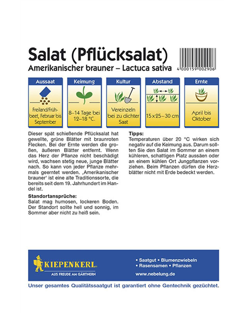 Pflücksalat Amerik.n PG C