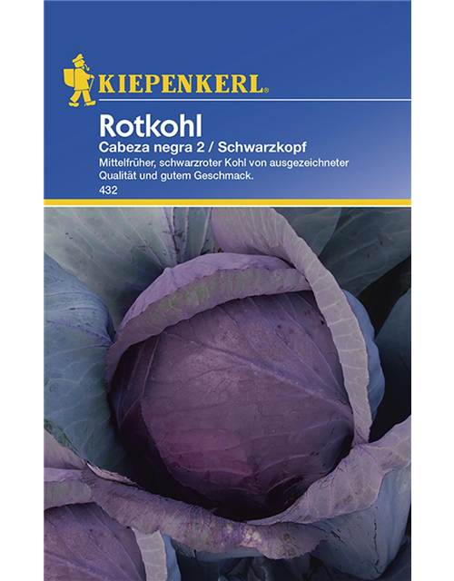 Rotkohl Schwarzkopf 2nPG A