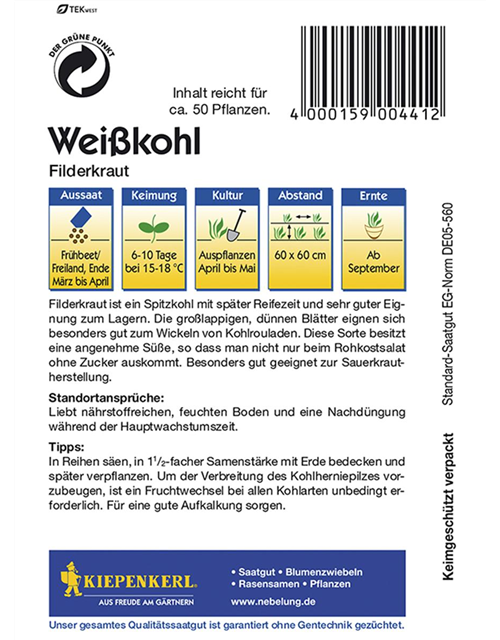 Weißkohl Filderkrautn