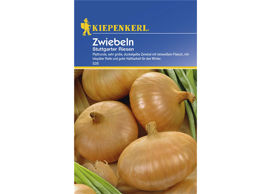 Zwiebeln Stuttgarter Riesen