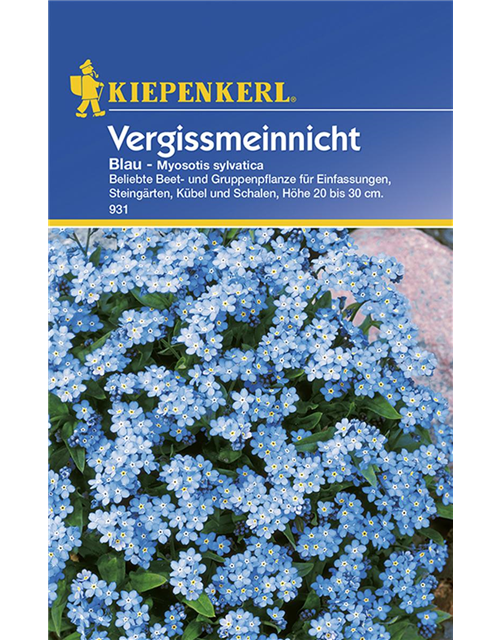 Myosotis blaunPG C