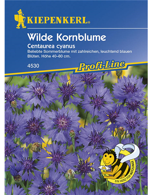 Wilde Kornblumen