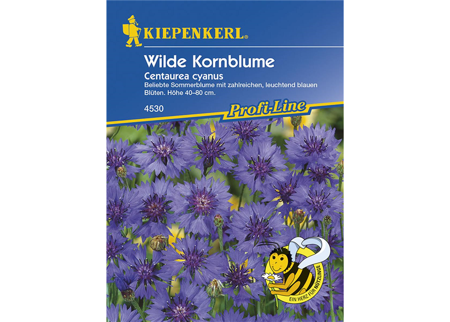 Wilde Kornblumen