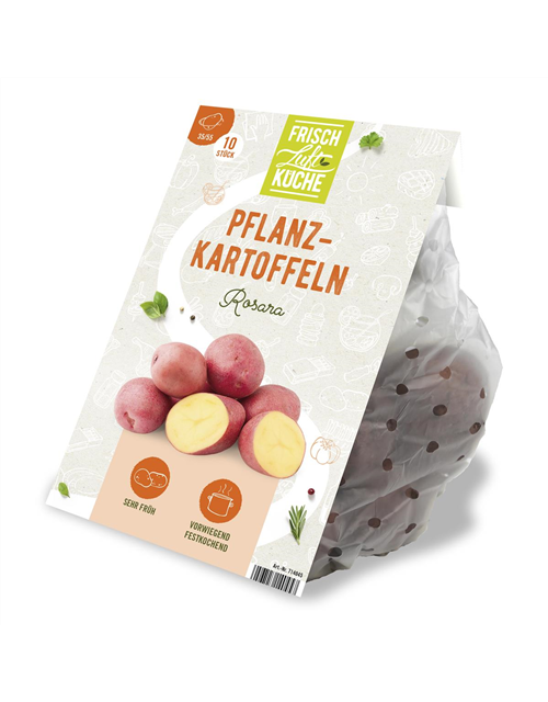 Pflanzkartoffeln Rosara