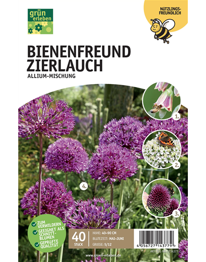 Bienenfreund Zierlauch