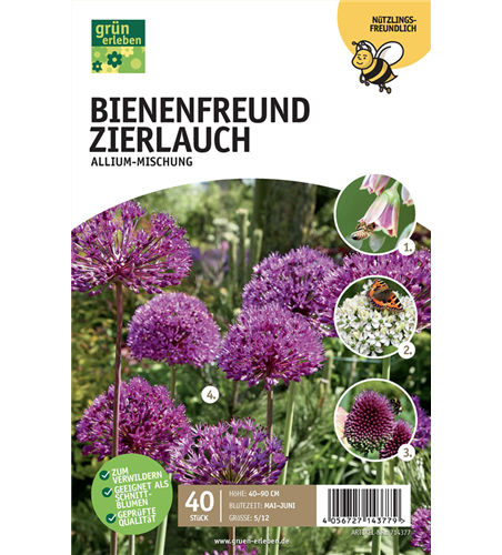 Bienenfreund Zierlauch