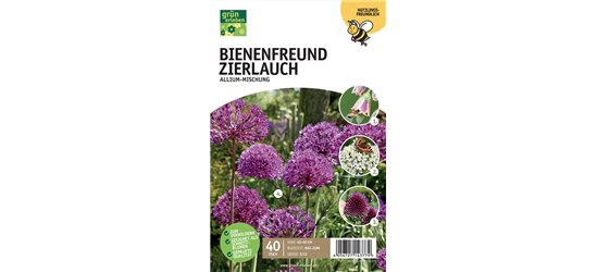 Bienenfreund Zierlauch