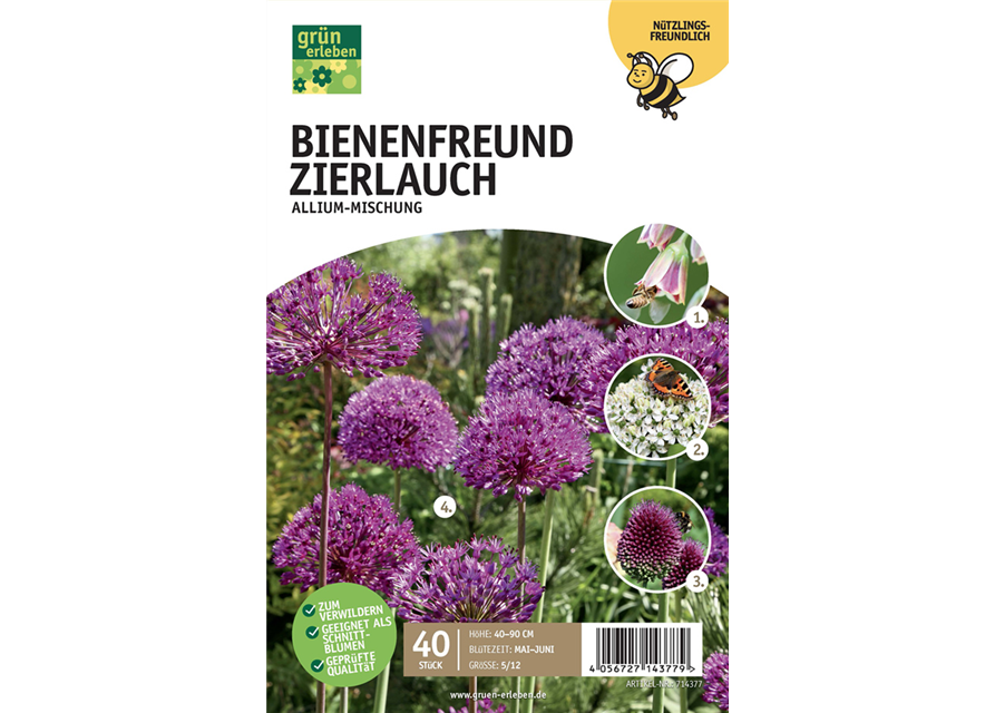 Bienenfreund Zierlauch