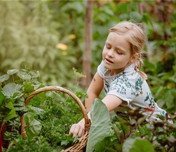 KINDER SPIELERISCH IN DIE ERNTE EINBEZIEHEN