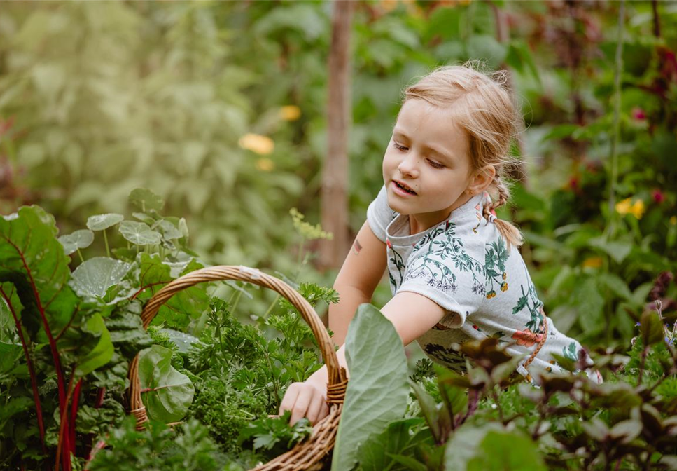 KINDER SPIELERISCH IN DIE ERNTE EINBEZIEHEN